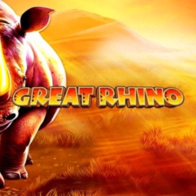 Nederland Wint Casino App