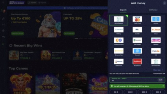 Koningslot Casino Betaalmethoden