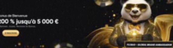 Legale CasinoS Casino Nl