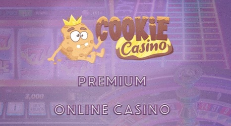 Mr Slot Casino Login