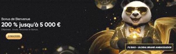 Live Casino Spellen Nederland App