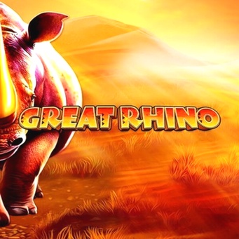 Casino Casino Review