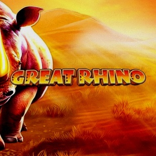 Mbit Casino Nederland